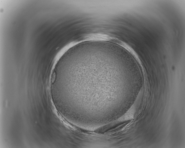 X0000085811488200703231323