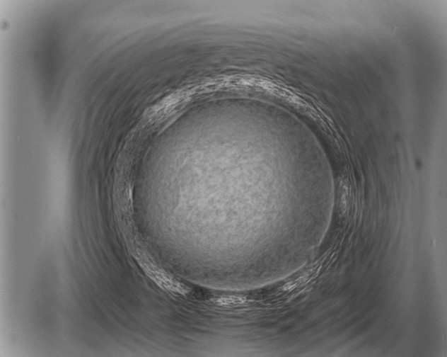 X0000085811489200703231322