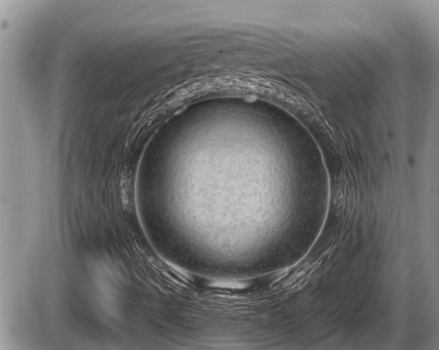 X0000085811490200703231322