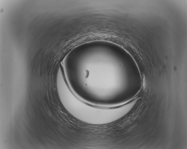 X0000085811492200703231322