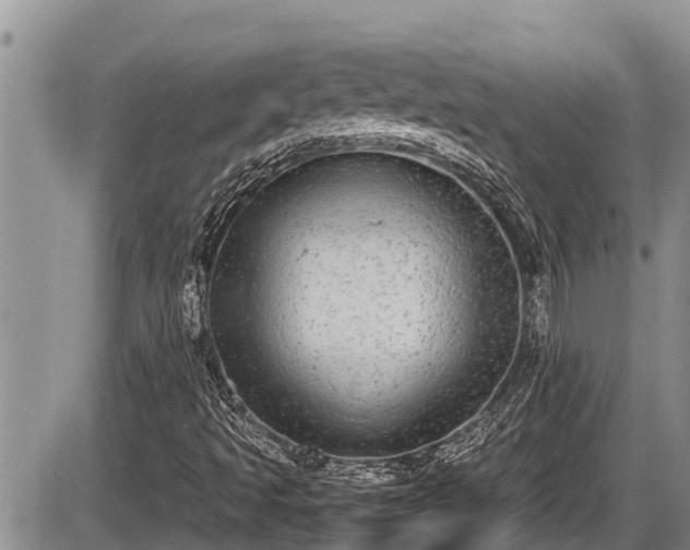 X0000085811493200703231322