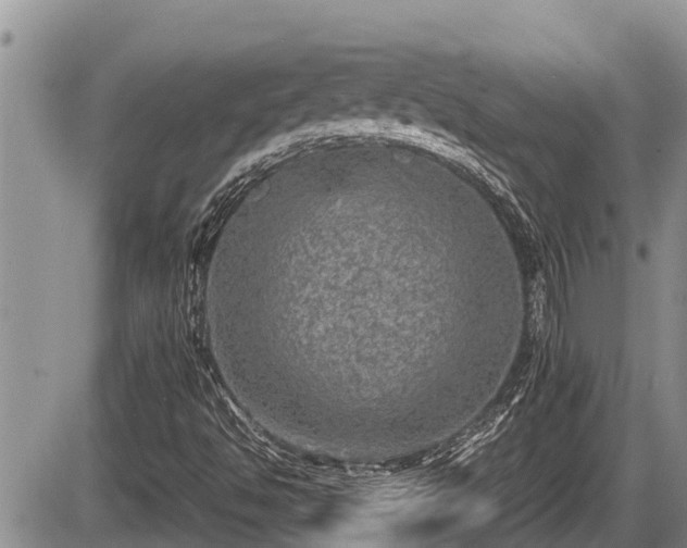 X0000085811494200703231322