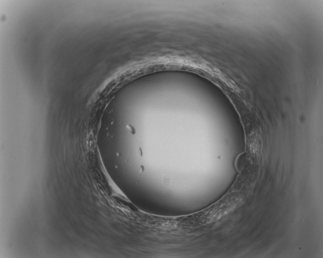 X0000085811495200703231322