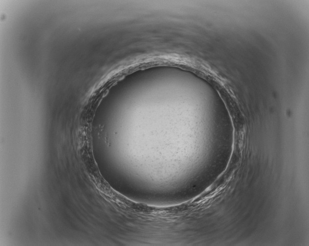 X0000085811496200703231322