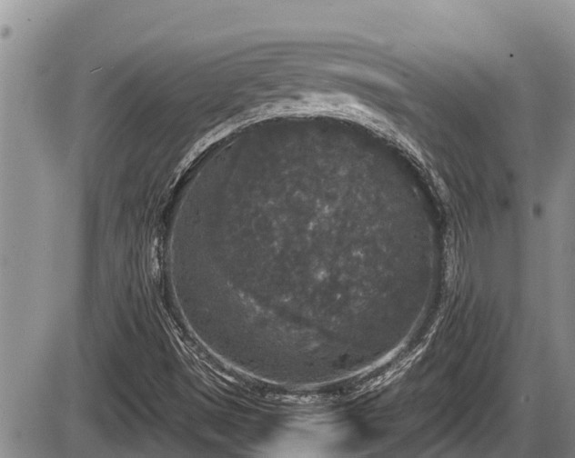 X0000085811497200703231322