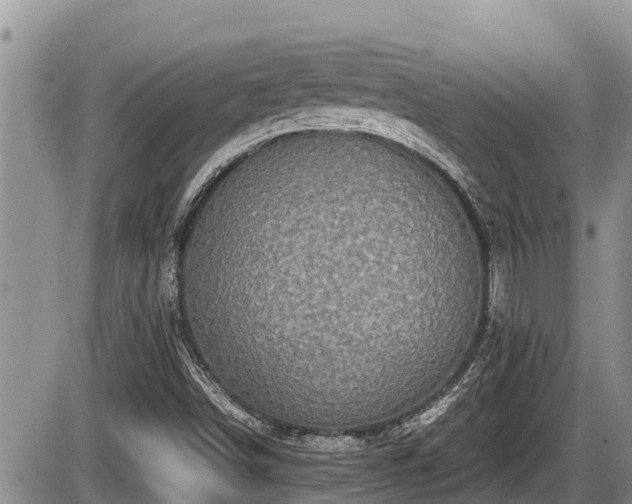 X0000085811498200703231322