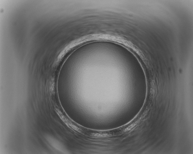 X0000085811499200703231322