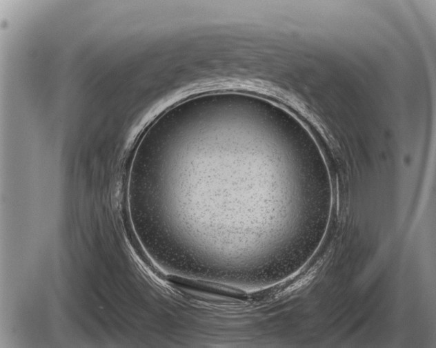 X0000085811500200703231322