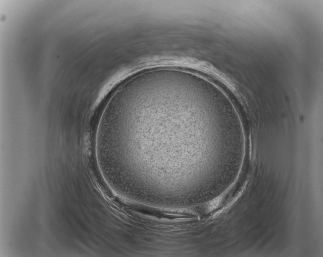 X0000085811501200703231322