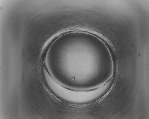 X0000085811502200703231322