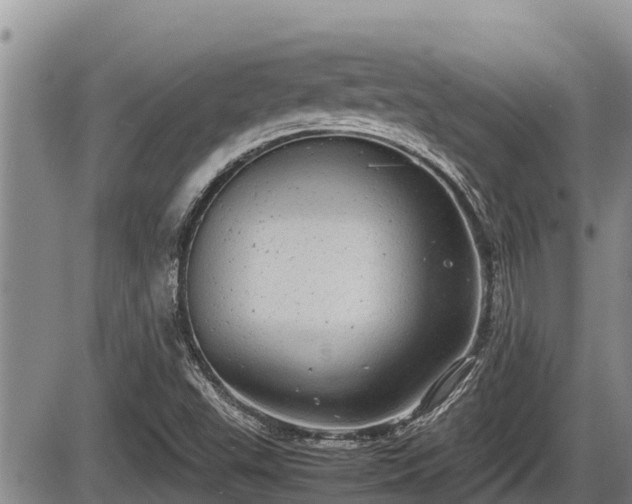 X0000085811503200703231322