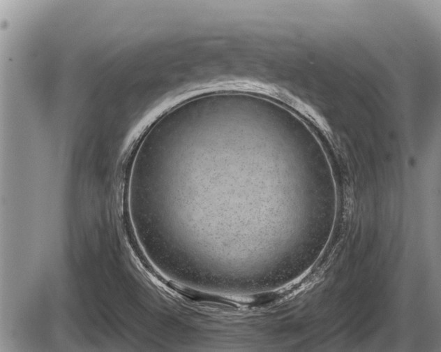 X0000085811504200703231322