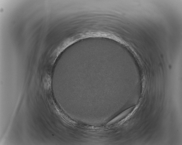 X0000085811505200703231322