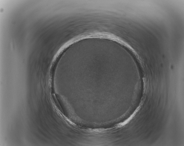 X0000085811506200703231322