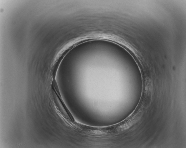 X0000085811507200703231322