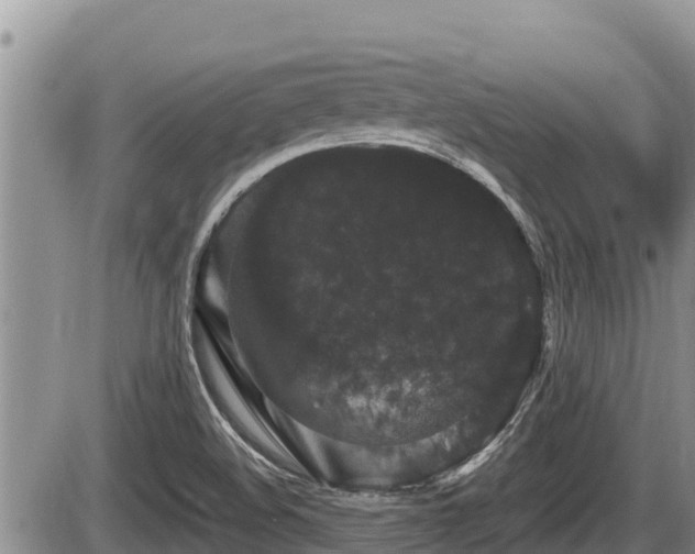 X0000085811508200703231322