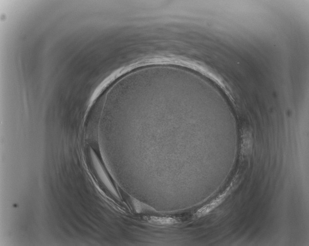 X0000085811509200703231322