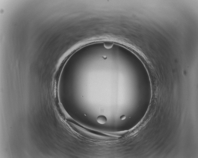 X0000085811510200703231322