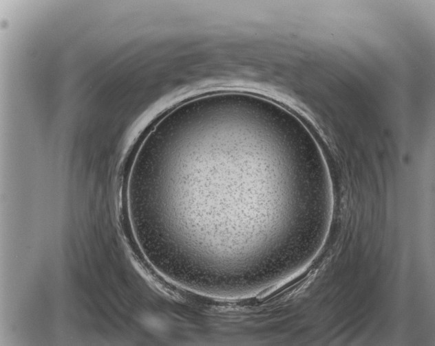 X0000085811511200703231322