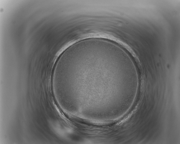 X0000085811513200703231322