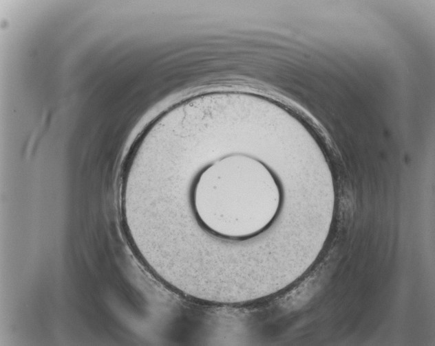 X0000085811514200703231322