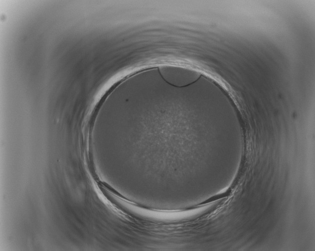 X0000085811515200703231322