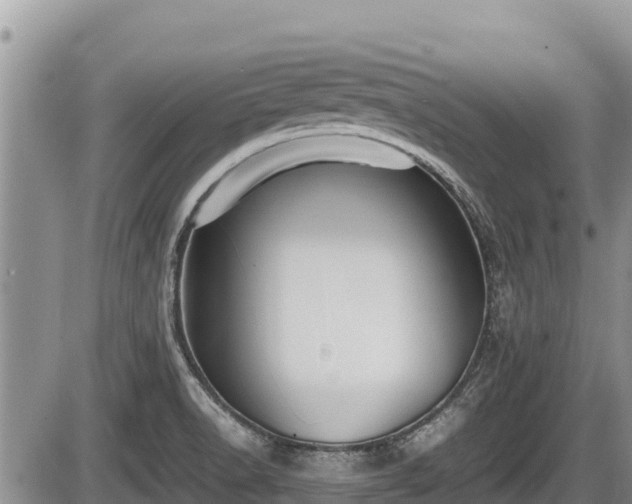 X0000085811518200703231322