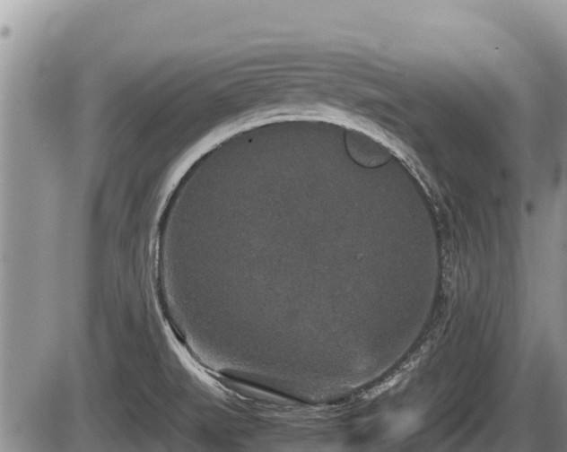 X0000085811519200703231322