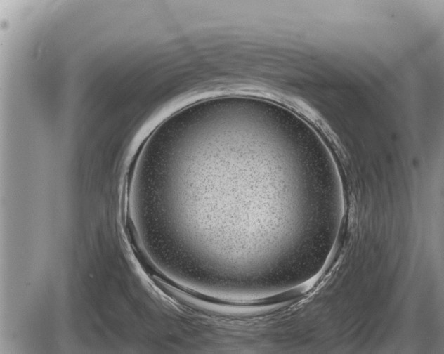 X0000085811520200703231322