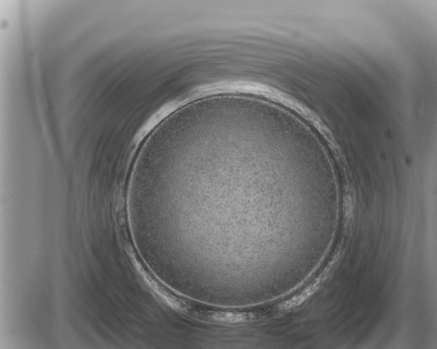 X0000085811521200703231322