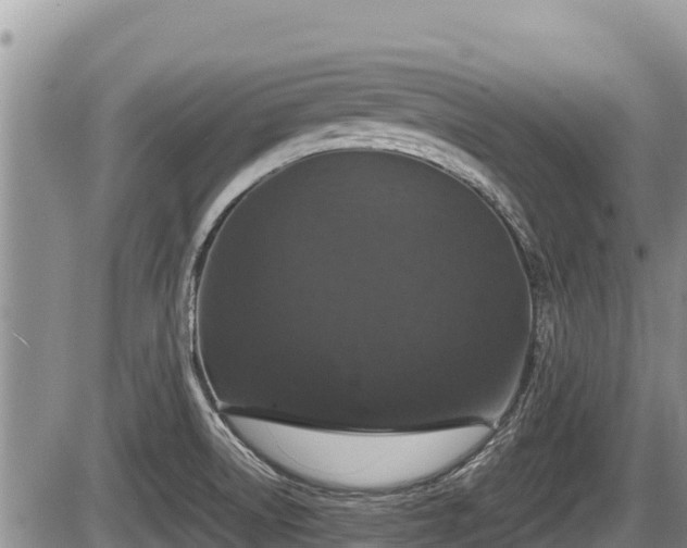 X0000085811522200703231322