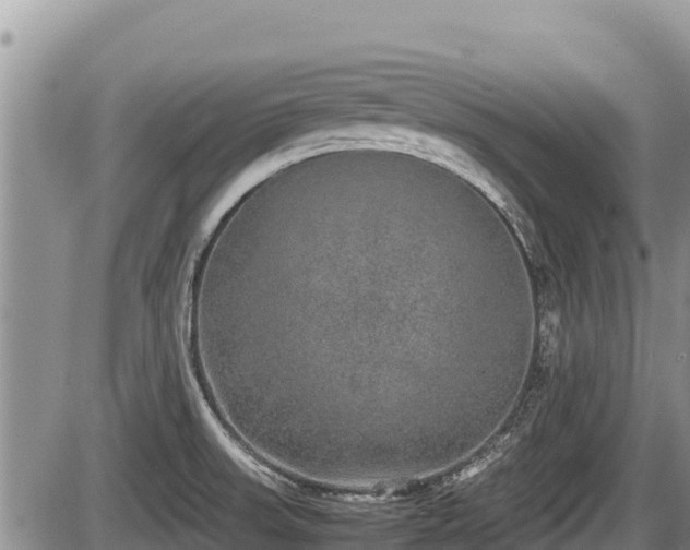 X0000085811523200703231322