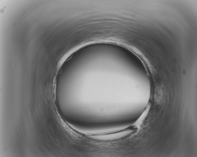 X0000085811524200703231322