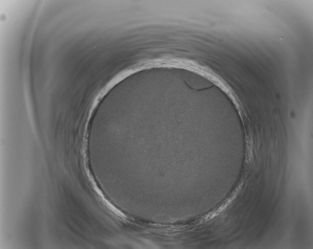 X0000085811525200703231322