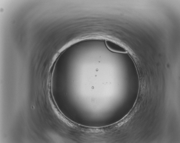 X0000085811526200703231322