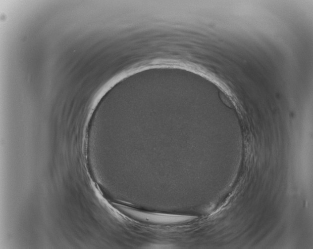 X0000085811527200703231322