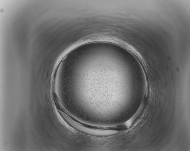 X0000085811528200703231322