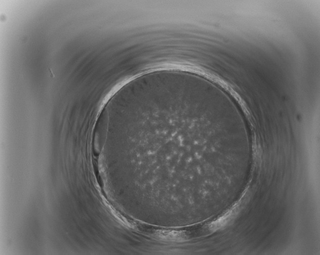 X0000085811529200703231322