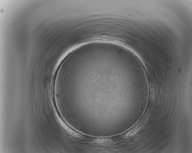 X0000085811531200703231322