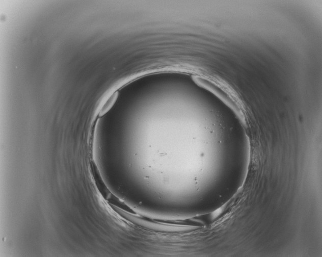 X0000085811532200703231323