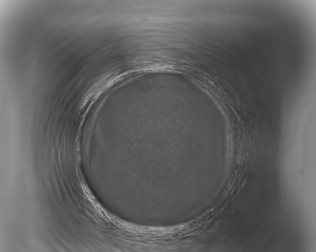 X0000085810002200703301537