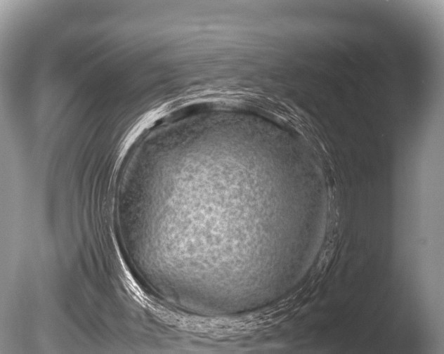 X0000085810003200703301537