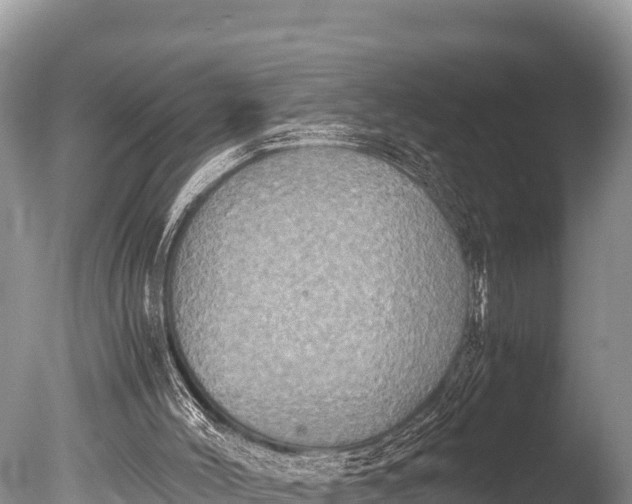 X0000085810004200703301537