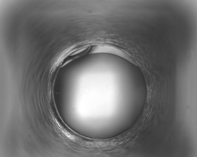 X0000085810005200703301537