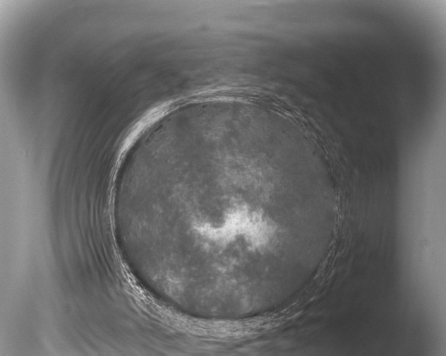 X0000085810006200703301537