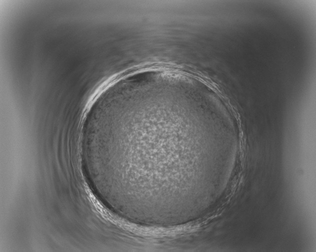 X0000085810007200703301537