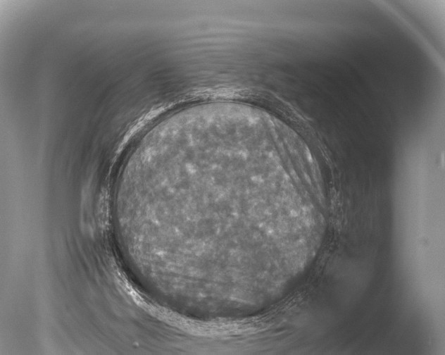 X0000085810012200703301537