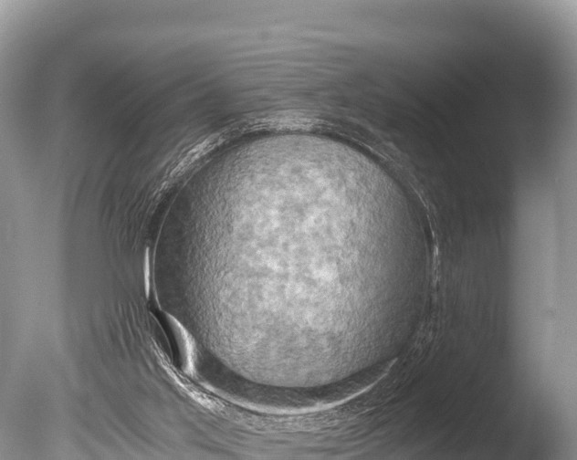 X0000085810013200703301537