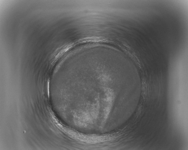 X0000085810014200703301537