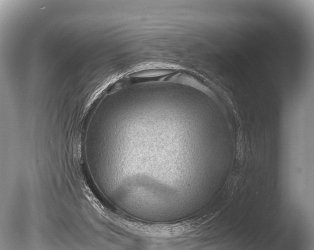 X0000085810015200703301537